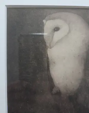 Jan Mankes - Uil op boomtak. Werk uit 1913. kopen? Bied vanaf 99!