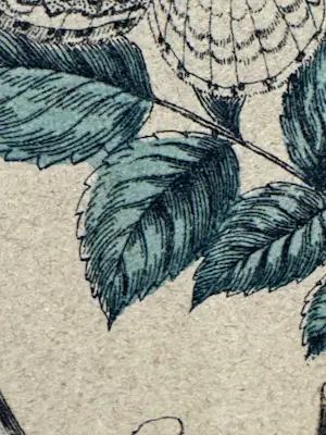 Rie Cramer - botanische vlinders prent kopen? Bied vanaf 25!