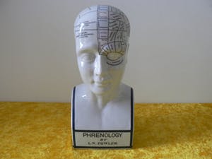 Curiosa - Phrenology head by L.N.Fowler - Met Kleur kopen? Bied vanaf 60!