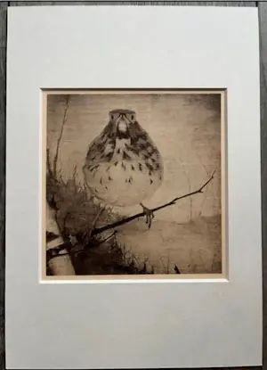 Jan Mankes - Originele Heliogravure Lijster op Tak 1923 kopen? Bied vanaf 195!