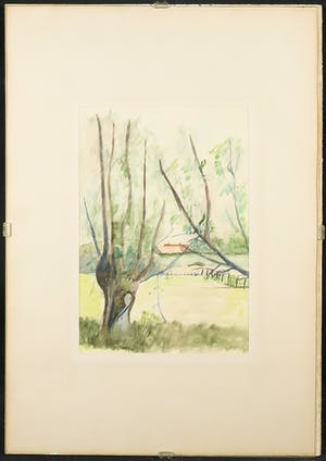 Niet of onleesbaar gesigneerd - Aquarel, Landschap met knotwilg - Ingelijst kopen? Bied vanaf 1!