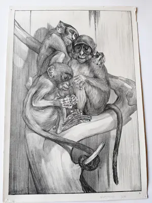 Theo van Hoytema - Litho, 'Apen' kopen? Bied vanaf 35!