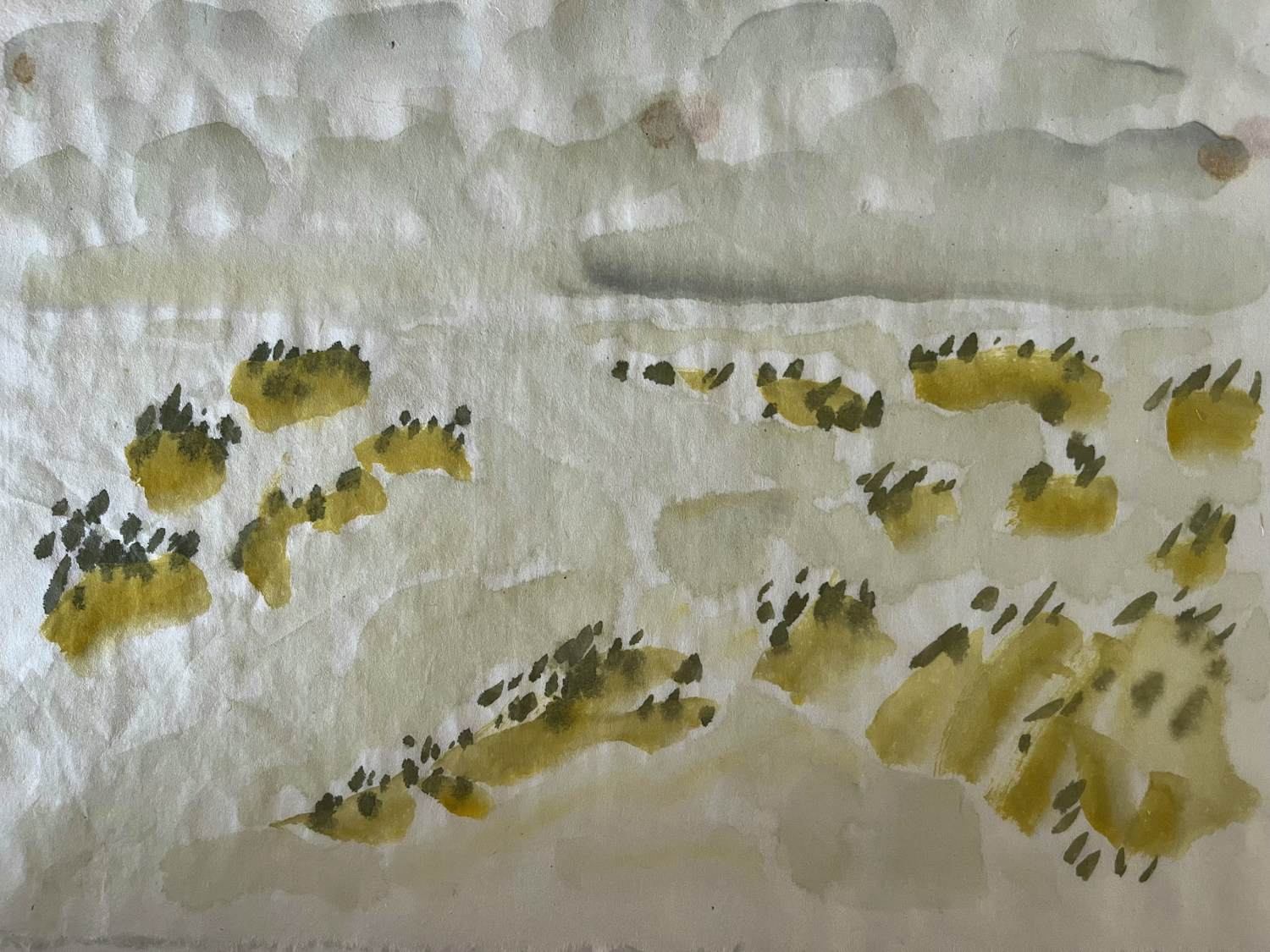 Jan Doms - TWEE AQUARELLEN kopen? Bied vanaf 49!