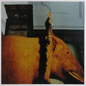 Paul den Hollander - Fotografie, Z.T - Ingelijst kopen? Bied vanaf 50!