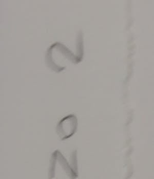 Cees Dolk - Zeefdruk, Tulpen & zo 2 - Ingelijst (Groot) kopen? Bied vanaf 1!