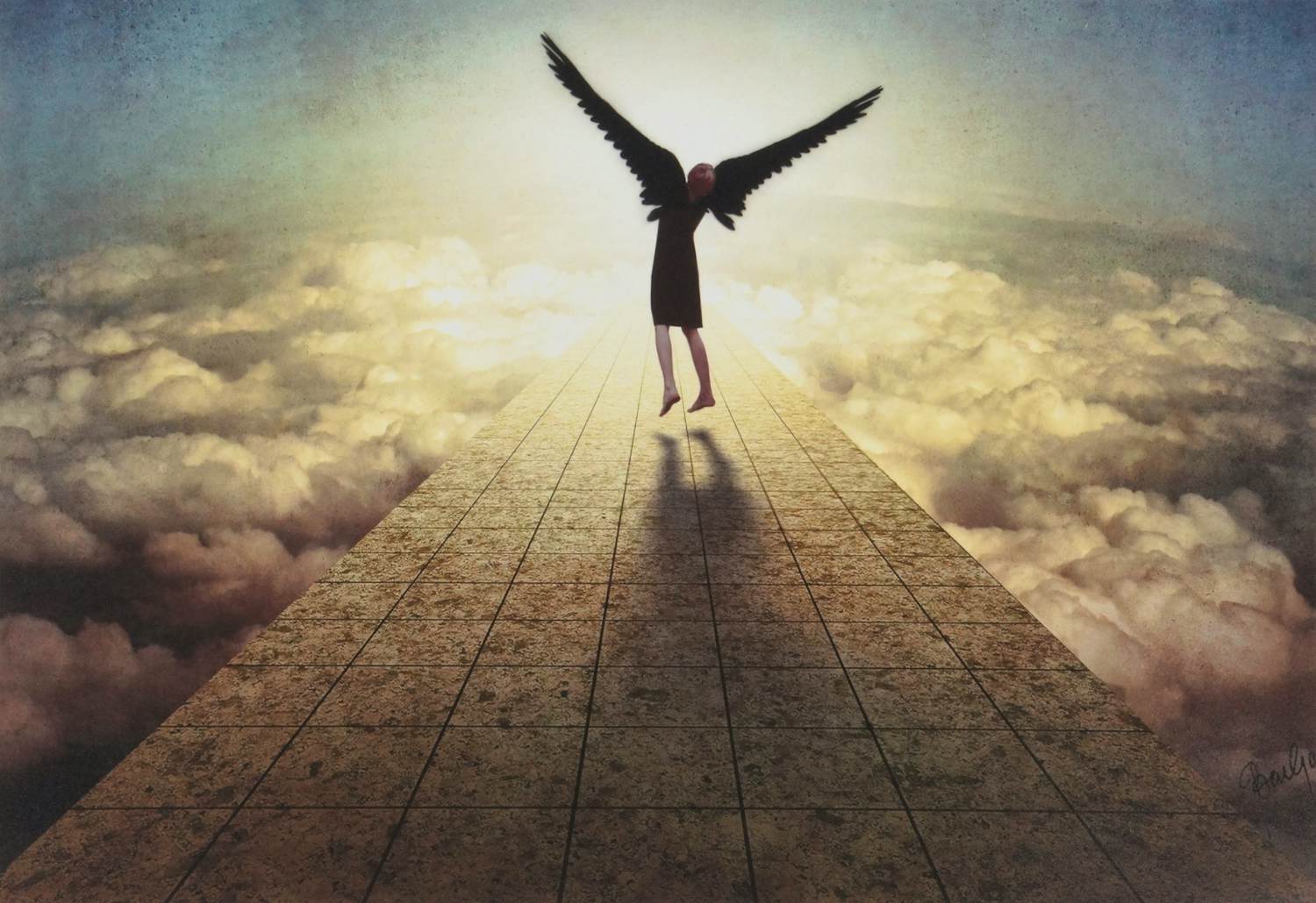 Ben Goossens - 'Leren vliegen' (2010) kopen? Bied vanaf 60!