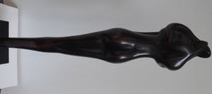 Anton ter Braak - Give me a Hug kopen? Bied vanaf 250!