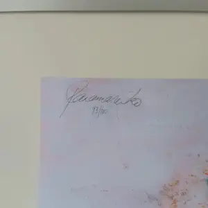 Panamarenko - Zonnewagen kopen? Bied vanaf 260!