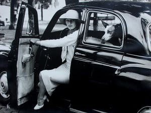 Hans Pelgrom - Foto kopen? Bied vanaf 45!