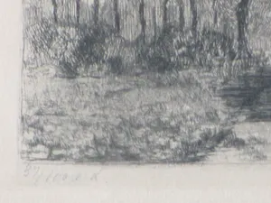 Suze de Lint - Heezenerbosch - Ets kopen? Bied vanaf 35!