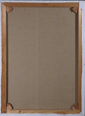 Pieter Haan - Little Doggie Love kopen? Bied vanaf 1!