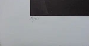 Jef van Tuerenhout - HALFNAAKTE VROUW / KLEURZEEFDRUK / 80x60cm / SIG kopen? Bied vanaf 90!