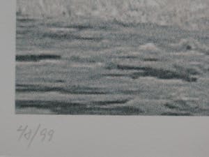 Rosemarie Trockel - der geteilte Gesang kopen? Bied vanaf 390!