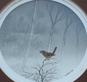 Ari Stolk - Gouache: Winterkoning - 1978 kopen? Bied vanaf 75!