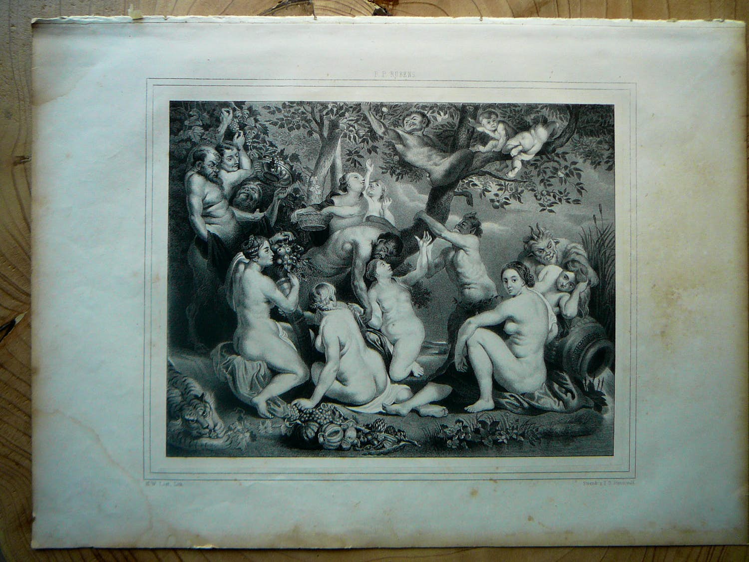 Hendrik  Wilhelmus Last - Enige Saters en Boschnimfen verkocht voor € 20!