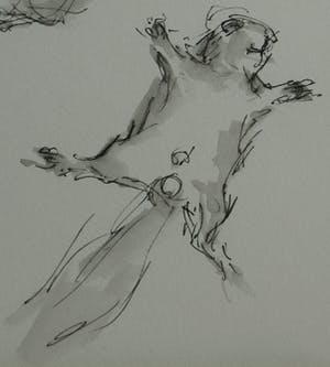 Niet of onleesbaar gesigneerd - Ingelijste pentekening en gewassen inkt , “Eekhoorn“ kopen? Bied vanaf 1!