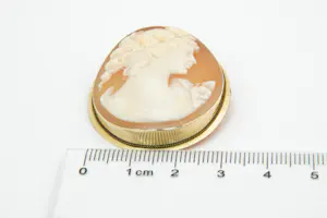 29- Grote antieke ovaalvormige 14 Krt gouden Victoriaanse Camee speld / broche kopen? Bied vanaf 90!