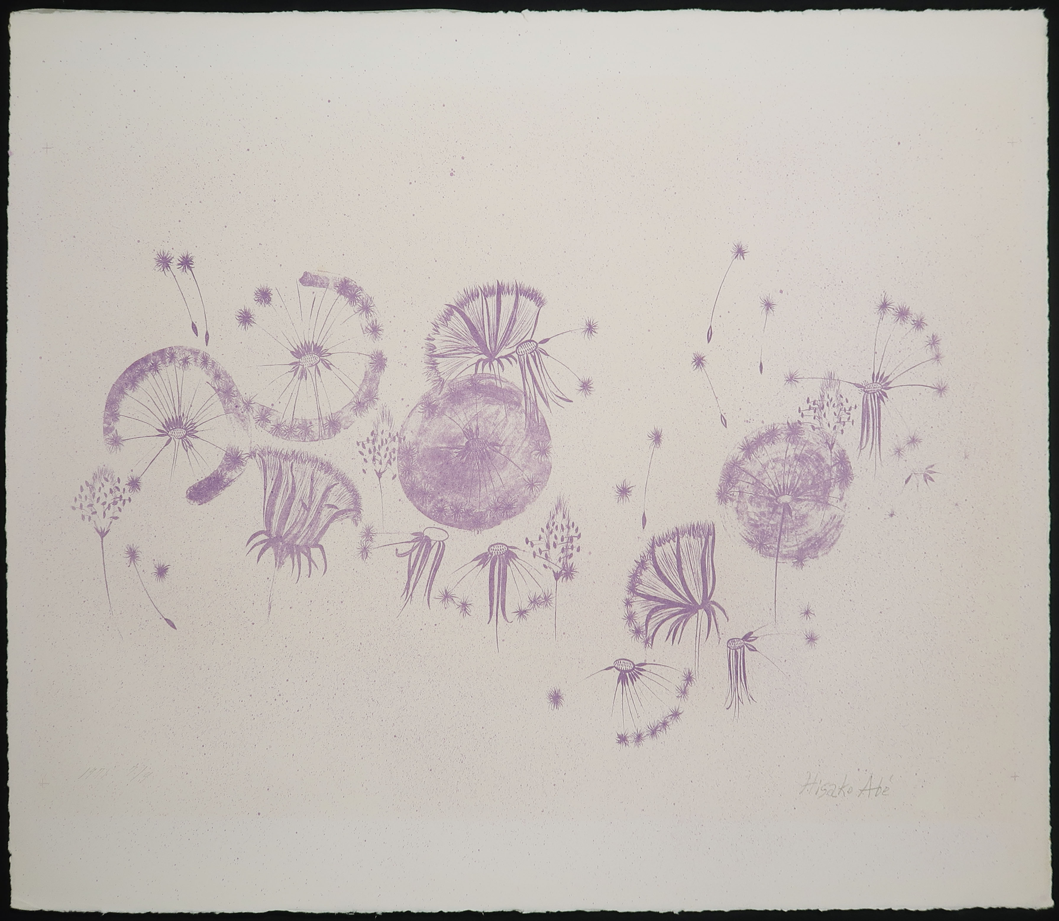 Hisako Viruly Abe - Kleurenlitho, Paardebloemen paars verkocht voor € 35!