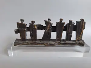 Frans Steginga - Samen zaak van de grond tillen kopen? Bied vanaf 35!