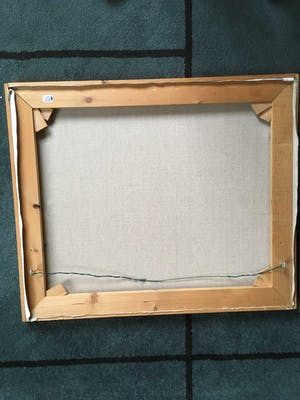 Wim van der Veer - Fries landschap kopen? Bied vanaf 100!