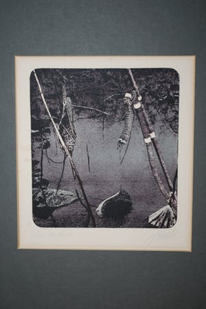 Wim Jonkman - litho, oplage 14 kopen? Bied vanaf 10!