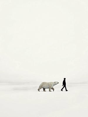 Mr. Strange - Artic kopen? Bied vanaf 50!