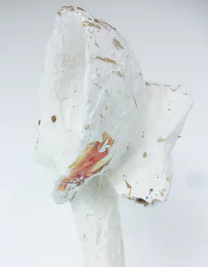 Johan Tahon - Sculptuur in gemengde techniek (gips, hout, touw verf), Zonder titel kopen? Bied vanaf 3000!