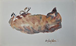 Phil Grisel - 2 Kattentekeningen (1 aquarel + 1 gewassen oost-indische inkttekening). kaufen? Bieten Sie von 50!