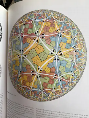 Maurits Cornelis Escher - Metamorphosis I, plus boek De Toverspiegel van M.C.Escher kopen? Bied vanaf 20!