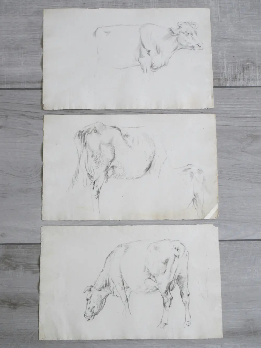 Frans Lebret (1820-1909)