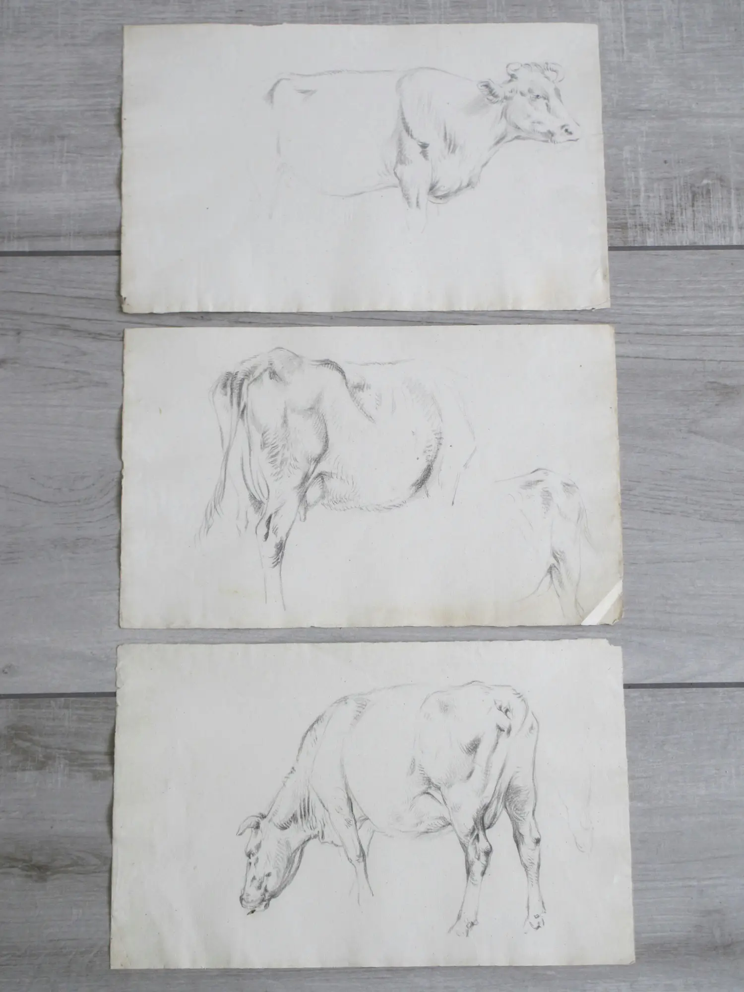 Frans Lebret (1820-1909)