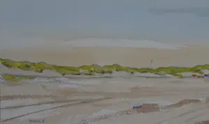 Franklin Meijer - Texel - Strand kopen? Bied vanaf 59!