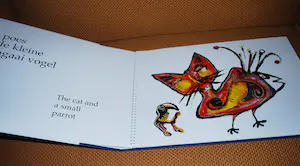 Jan te Wierik - Enorm hardcover boek met 13 grote afbeeldingen kopen? Bied vanaf 75!