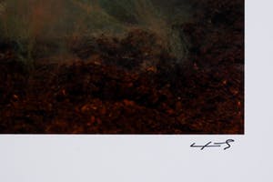 Ludo Geysels - the best of two worlds kopen? Bied vanaf 20!