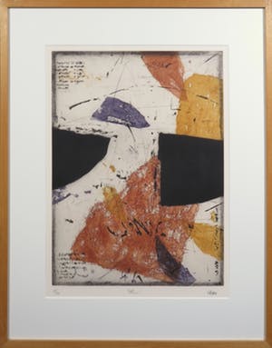 Rene Glaser - Kleurenets, Olive - Ingelijst kopen? Bied vanaf 1!