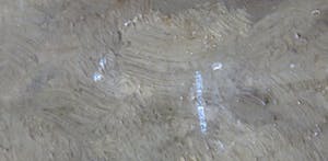 Maria Henry Mackenzie - Olieverf op board, Polder Aalsmeer - Ingelijst kopen? Bied vanaf 250!