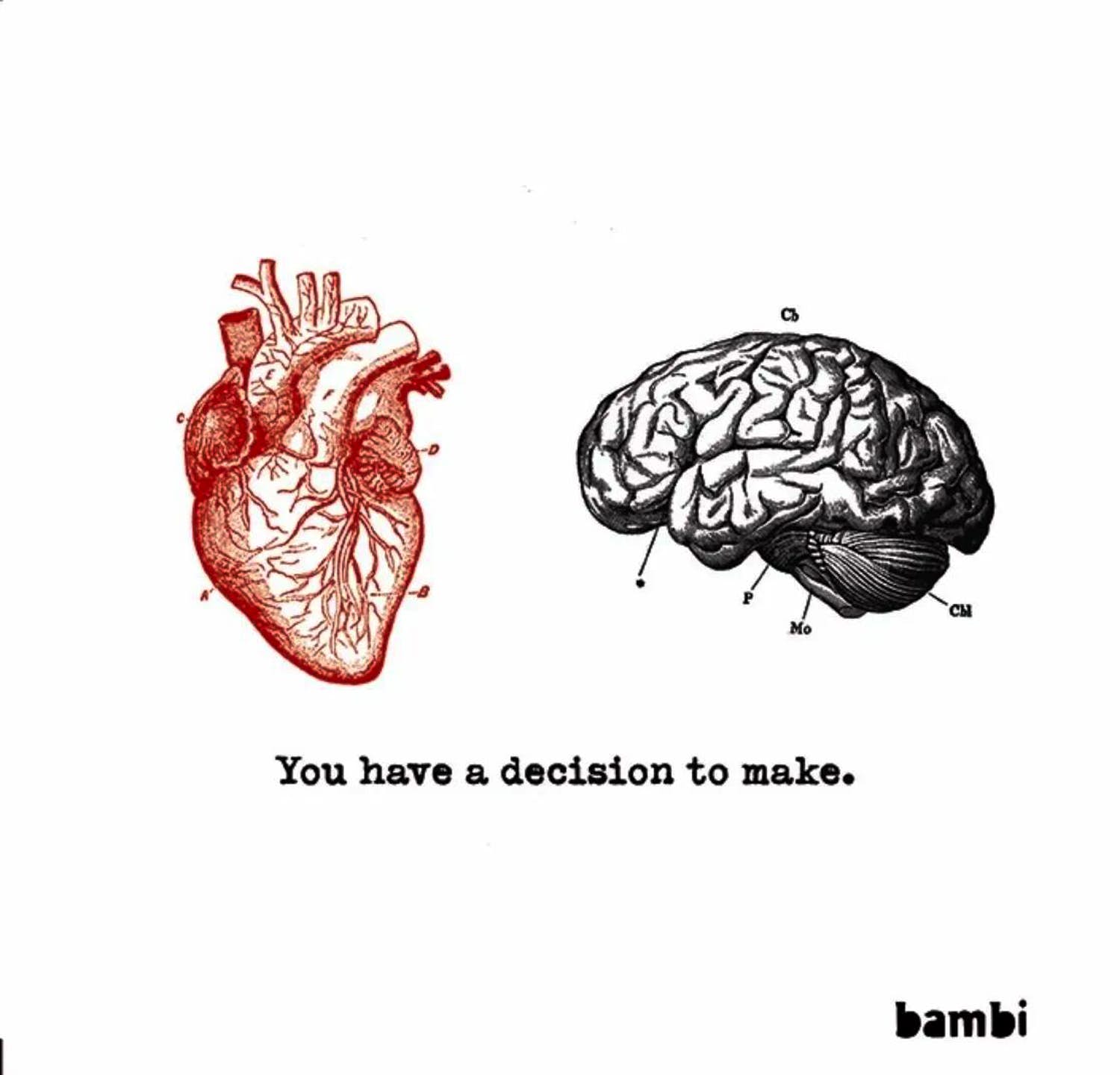 Bambi - YOU HAVE A DECISION TO MAKE kopen? Bied vanaf 1!