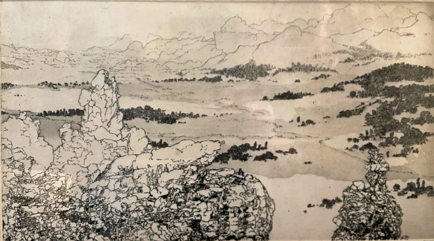 Reinder Homan - Landschap kopen? Bied vanaf 70!