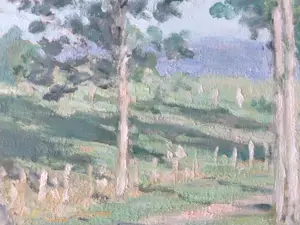 Anneke Boot - Zonnig heidelandschap met bomen kopen? Bied vanaf 180!