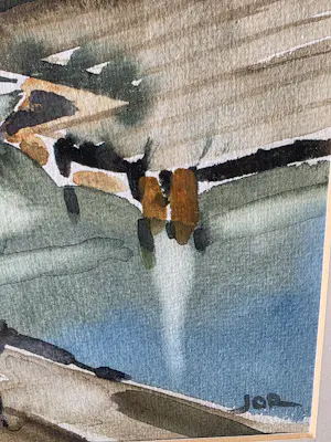 Jan Jordens - Duiven in de tuin kopen? Bied vanaf 300!