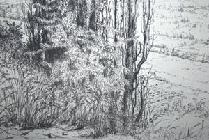 Jan Coenraad Nachenius - ets - Gezicht op de Rijn vanaf de Wageningse berg kopen? Bied vanaf 40!