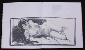 Nico Vrielink - Casette, Op de brug naar de tempel (met gedichten van Marion Bloem) kopen? Bied vanaf 20!