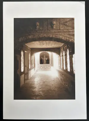 Betsy Green - Veniti Digni kopen? Bied vanaf 23!