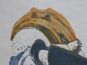 Jaap Ploos van Amstel - Neushoornvogels - Houtsnede kopen? Bied vanaf 45!