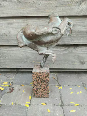 Jos Dirix - Camarqua kopen? Bied vanaf 1200!