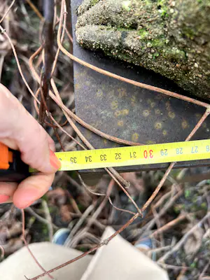 Ida De Roy - twee vrolijke apen "horen en zien" van beton op stalen sokkels kopen? Bied vanaf 500!