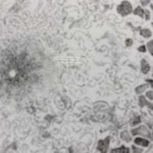 Andre Gouw - Mandala IX kopen? Bied vanaf 40!