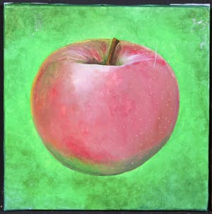 Mylene Vrolijk - Olieverf op doek, Vierluik appels kopen? Bied vanaf 10!