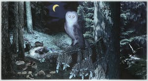 Ruud van Empel - Inkjet print, Uil - Ingelijst (Groot) kopen? Bied vanaf 1!