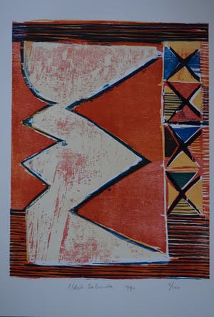 Aldrik Salverda - litho voor de Gelderse Grafiekmap uit 1990 kopen? Bied vanaf 35!